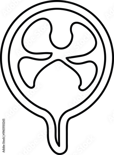 951 placenta disc shaped with umbilical cord attachment vector illustration on transparent background