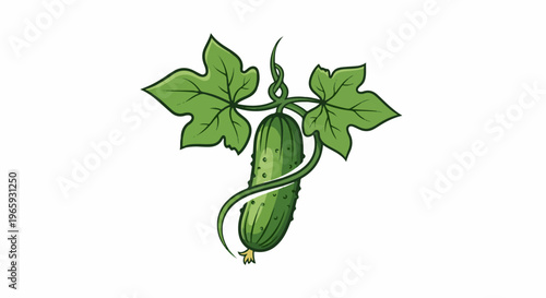 A stylized green cucumber hangs from its vine, adorned with vibrant leaves