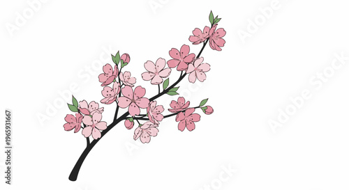 A delicate branch with pink blossoms and green leaves on a white background