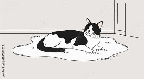A black and white feline rests on a shaggy rug indoors