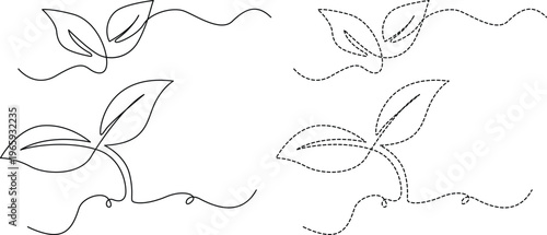 Comparative illustration of leaf venation patterns and stem structures in botanical drawings Vector