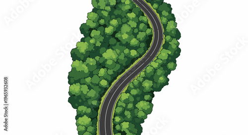 Aerial view of a winding asphalt road cutting through a dense green forest canopy