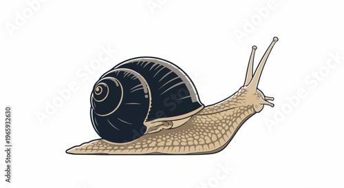 A close-up illustration of a snail with a dark, spiraled shell and textured, tan body, moving right