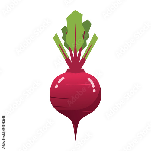 Minimal flat vector illustration of a fresh okra pod