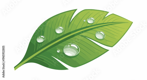 A vibrant green leaf with glistening dew drops after a refreshing rain shower