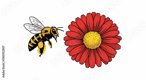 A yellow and black striped insect with transparent wings flies towards a bright red flower with a yellow center