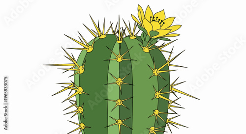 A green cactus with sharp yellow spines and a blooming yellow flower at the top