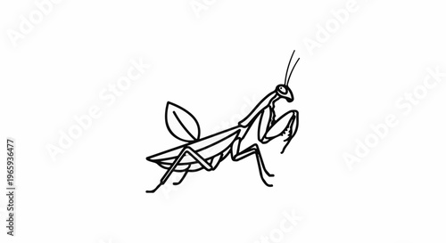 Outline sketch of a praying mantis with wings extended