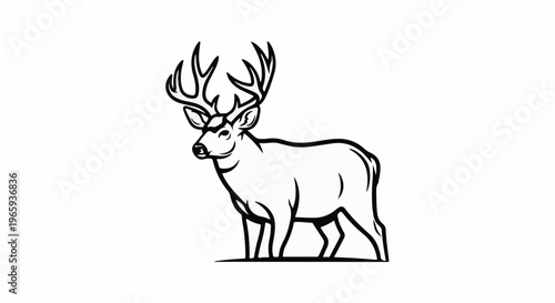 Majestic buck with large antlers, standing alertly against a white background
