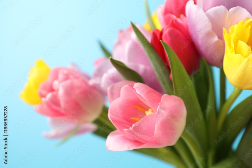 Naklejka premium Bouquet of colorful tulips on light blue background, closeup