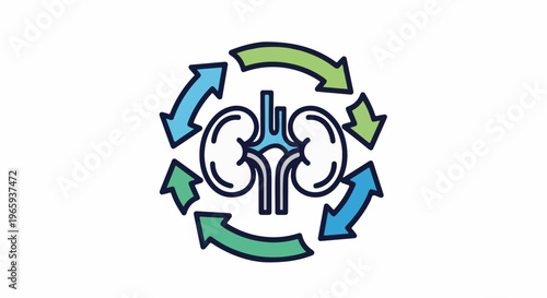 Stylized kidneys with orbiting arrows indicating a cycle or process