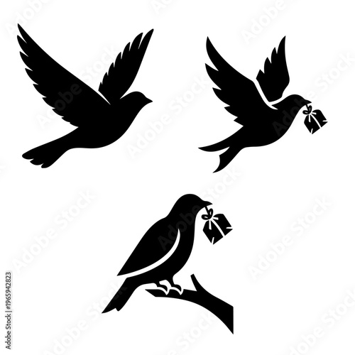 Birds are the true masters of the sky, embodying the very spirit of freedom. From the vibrant, shimmering feathers of a tropical parrot to the silent, powerful glide of an eagle, they bring color and 