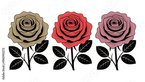 Three elegant roses in varying shades of red with green leaves and stems Vector
