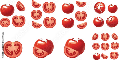 Fresh tomato collection with whole and sliced pieces in flat vector style, juicy red vegetable illustration isolated on white background for healthy food design
