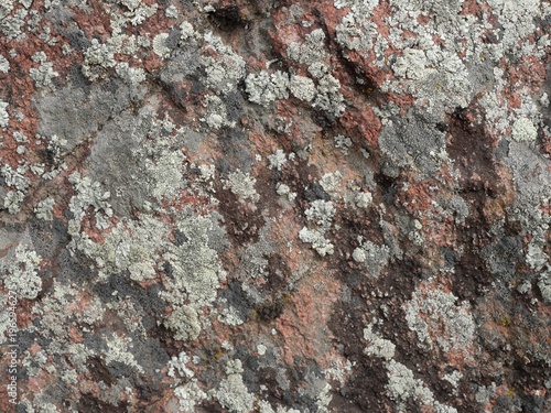 фотографія Lichen on Red Sandstone Rock Texture, Eldorado Canyon Colorado, Natural Backgrou