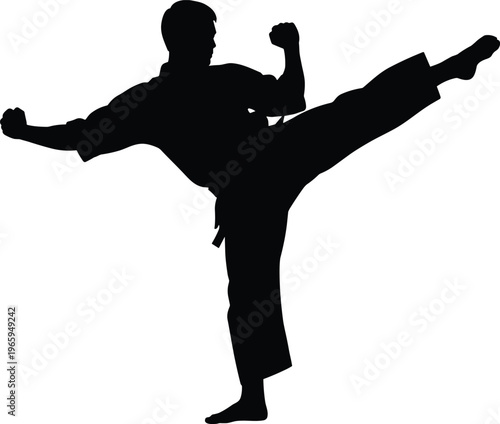 Silhouette of karate practitioner performing high kick in motion.