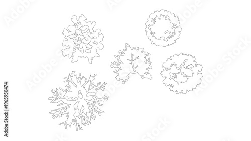 Architectural tree plan symbols set for urban landscape mapping and site design projects.