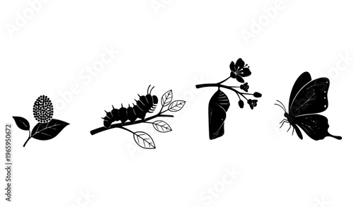 set of butterflies Butterfly Metamorphosis Silhouette Diagram Insect Life Cycle