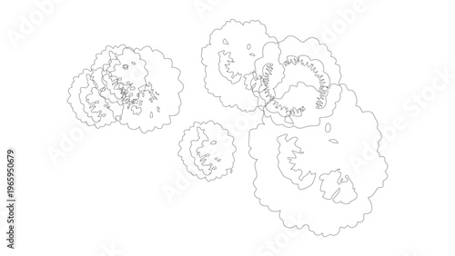 Set of various tree top view for architectural landscape and garden design plans.