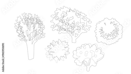 Set of tree elevation view for architectural landscape or garden design layout.