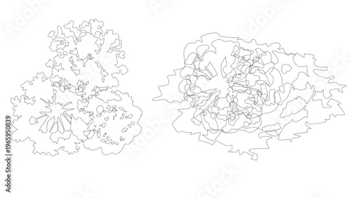 Abstract tree crown outlines for architectural site plan and landscape engineering projects.