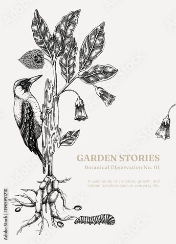 Botanical observation poster design with bird and plant sketches. Hand drawn natural history illustration in vintage engraving style. NOT AI generated