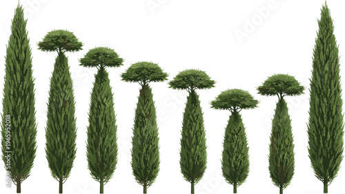 Mediterranean Cypress Tree Vector Collection Featuring Realistic Columnar and Topiary Evergreen Silhouettes for Italian Garden Landscape Design and Outdoor Architectural Visualization Projects