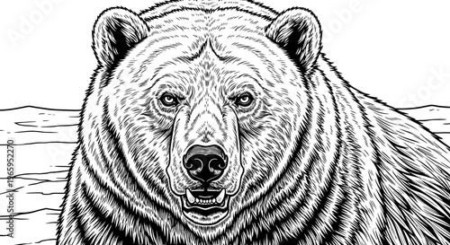 Close up illustration of a grizzly bear with detailed fur and facial features