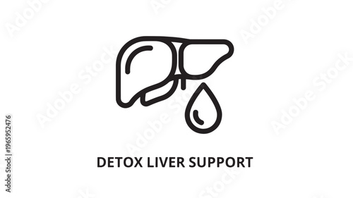 Clean and modern vector-style liver detox support illustration, ideal for health supplements, wellness blogs, medical infographics, and natural remedy marketing materials.
