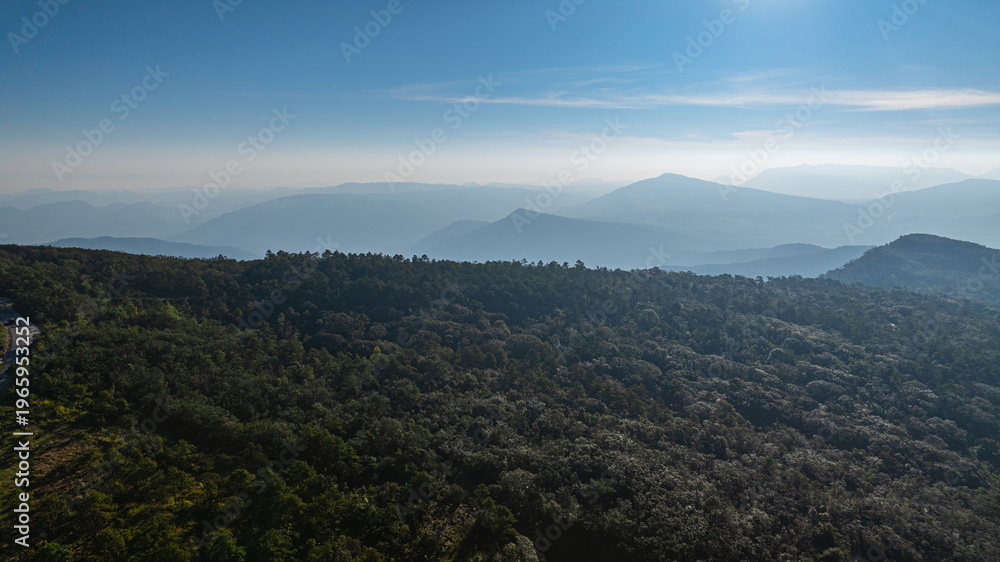 Fototapeta premium A breathtaking aerial view of sunrise at Phu Ruea National Park in Loei, Thailand, featuring golden morning light illuminating pine trees and rolling mountain ranges under a colorful sky.