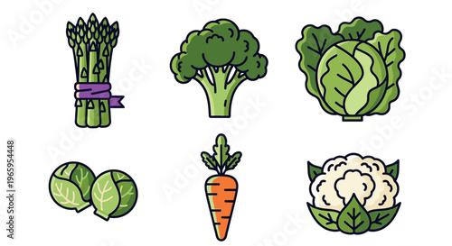 Fresh vegetables assortment asparagus broccoli cabbage carrots and cauliflower