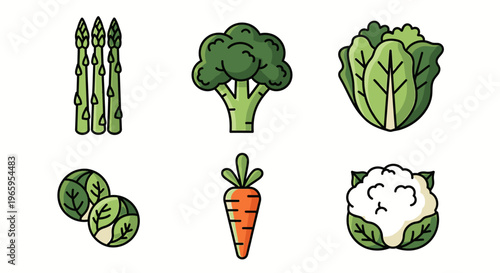 Fresh vegetables collection illustration isolated on white background