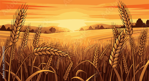 Golden wheat field at sunset with rolling hills in background