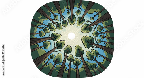 Overhead view of tall trees with sun shining through canopy