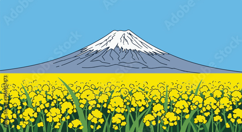 Snow-capped mountain overlooks a vibrant field of blooming yellow flowers under a clear sky