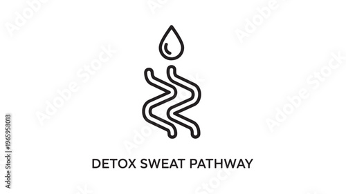 Clean and modern black line art illustration depicting the detox sweat pathway, ideal for wellness, fitness, health education, and lifestyle marketing materials.