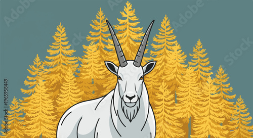 A white mountain goat stands before a backdrop of yellow pine trees