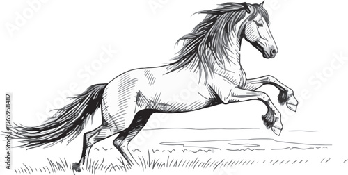 Hand drawn horse running sketch vintage line art illustration