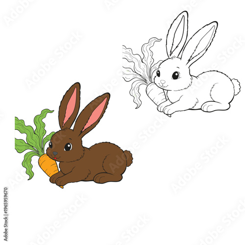 coloring book for kid rabbit vector 