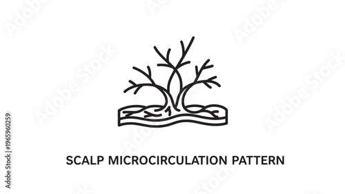 Minimalist vector illustration depicting scalp microcirculation, ideal for healthcare, wellness, trichology, and educational materials on hair growth and blood flow.