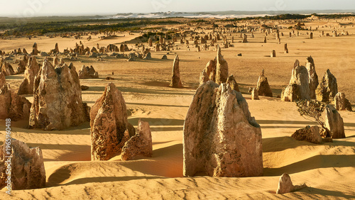 pinnacles in the desert of nambung national park, australia 913