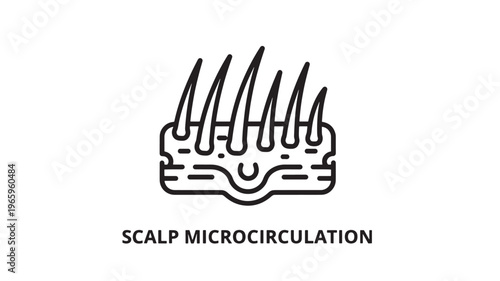 Minimalist vector illustration depicting scalp microcirculation, ideal for health, wellness, and medical educational materials, dermatology marketing, and hair care product promotions.