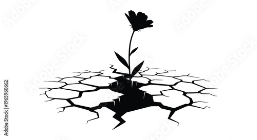 A delicate flower grows through cracked earth symbolizing resilience and hope in a stark black silhouette high quality professional detailed modern
