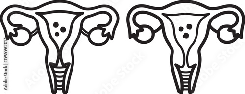 Female Reproductive System Uterus with Ovaries and Fallopian Tubes Human Anatomy Icon Illustration for Health with Fallopian Tube with Human Organ with Line Art with Black And White with Sexual Health