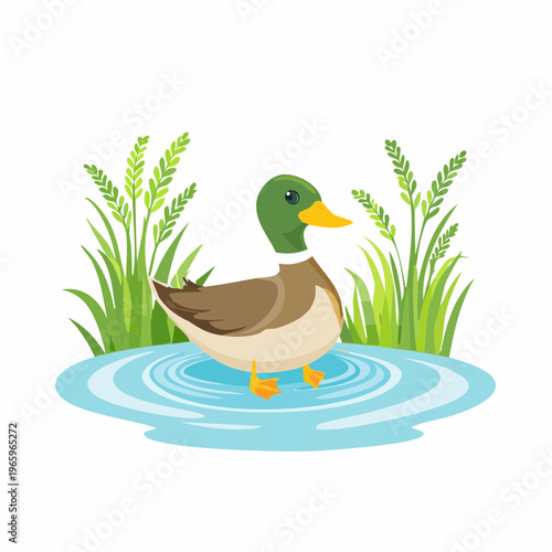 Duck stands in water surrounded by grass during a sunny day in a natural setting