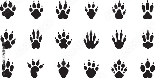 Animal Paw Print Silhouette Set - Vector Wildlife Tracks and Domestic Pet Footprint Icons
