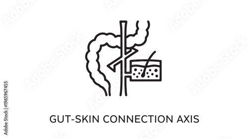 Minimalist black and white line art depicting the gut-skin connection axis, ideal for health, wellness, and medical educational materials, infographics, and holistic marketing content.