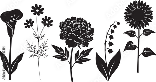 Floral Silhouette Collection Line Art Isolated on White Background