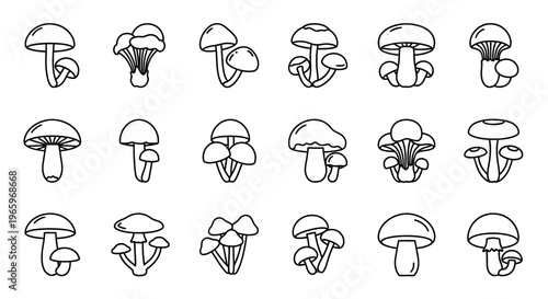 Collection of various mushroom illustrations in black and white, perfect for design.