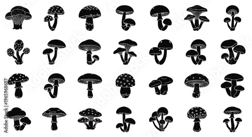 Collection of various mushroom silhouettes in black and white, perfect for design.